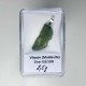 Colgante de Moldavita 2.5G